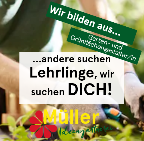 Lehrling Garten Und Landschaftsgestalter In Landschaftsgartner In Bei Ideengartnerei Muller In Thuringen Bezirk Bludenz Montafon Jobs In Vorarlberg
