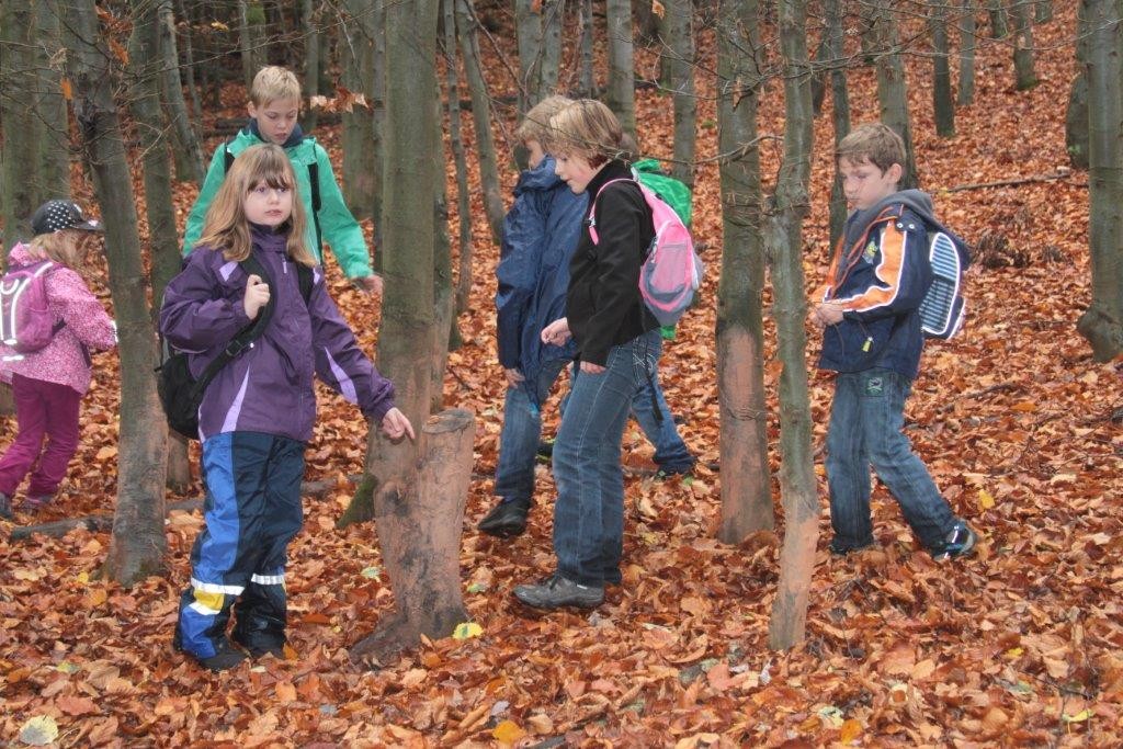 hier kann man anhand der Spuren an den Bäumen "Malbäume" die Höhe der Wildschweine erkennen