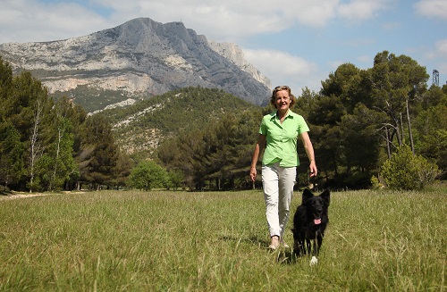 Animal Futé, un site qui propose d'échanger la garde de son animal