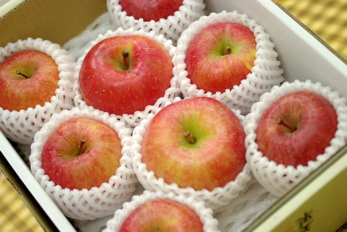 売り尽くし】加工用りんご【超特価】 - 【幸作りんご園】山形県朝日町
