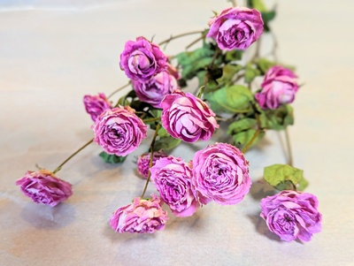 バラ（スプレー） - M's Factory Barbizon（M'sファクトリー バルビゾン）