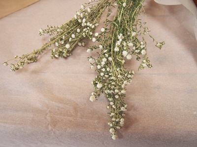 ネイティブフラワー - M's Factory Barbizon（M'sファクトリー