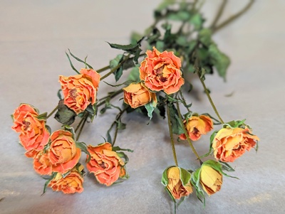 バラ（スプレー） - M's Factory Barbizon（M'sファクトリー バルビゾン）