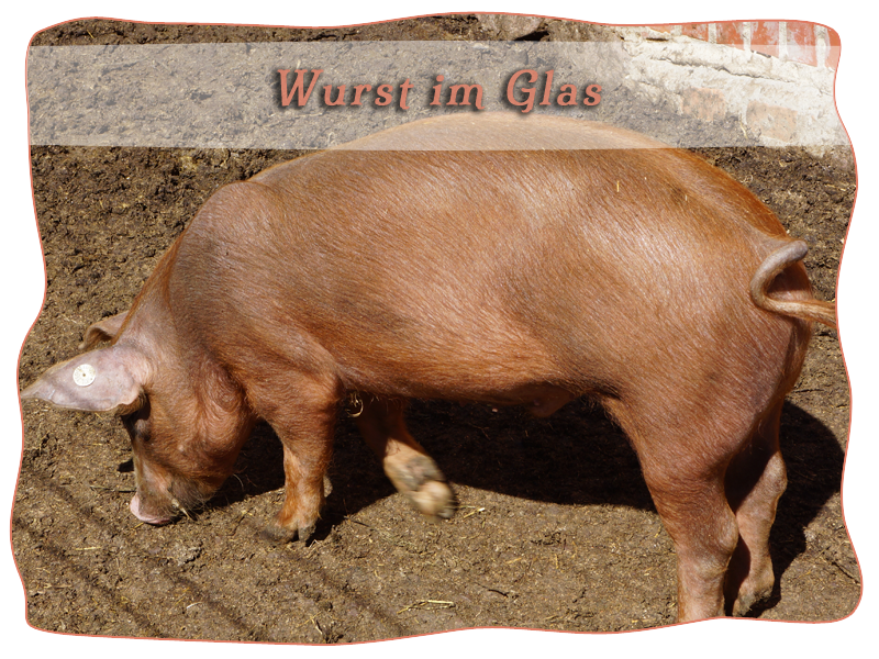 Wurst im Glas | Mein BioSchwein