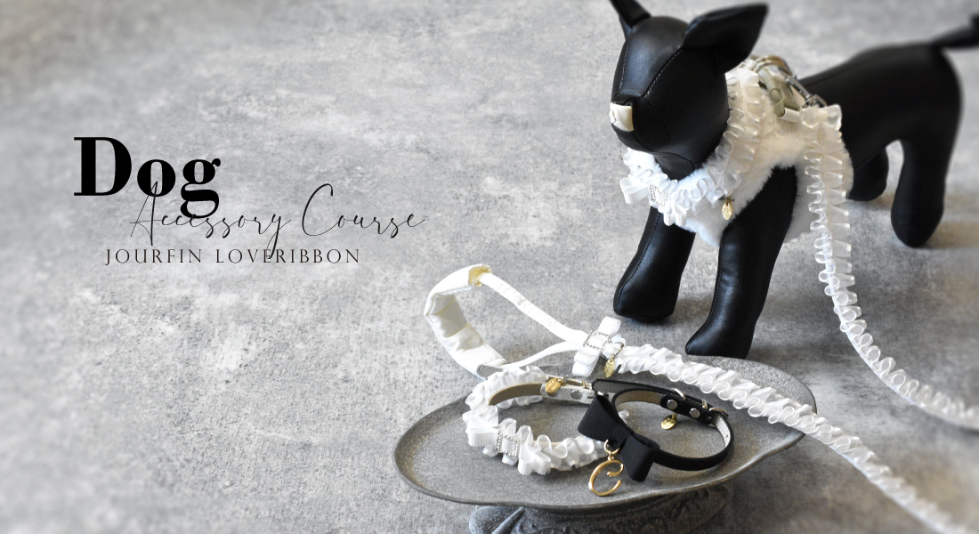DogAccessoryCourse