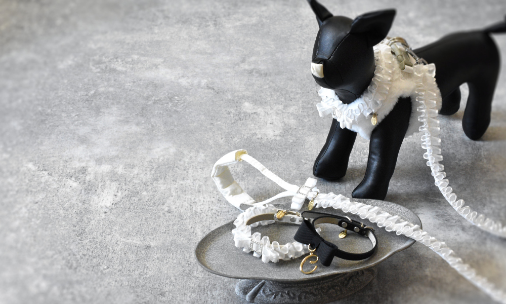 Dog Accessory course - JourFin®公式ホームページ