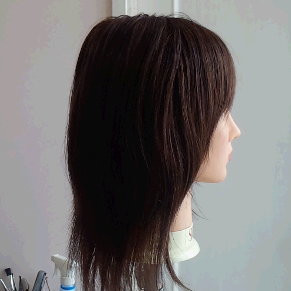 人毛ウィッグのお手入れ 医療用ウィッグ かつら をお作りする 美容室パサージュ 人毛ウィッグのお手入れ 医療用ウィッグ かつら をお作りする 美容室パサージュ