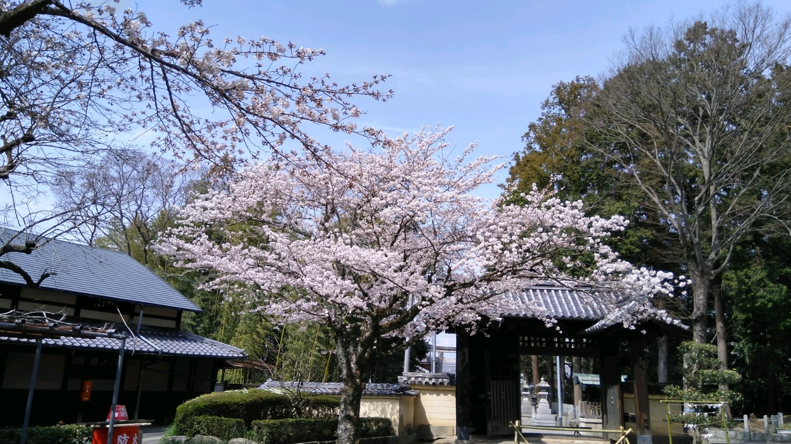 鞭崎神社表門は国指定重要文化財に指定されています。