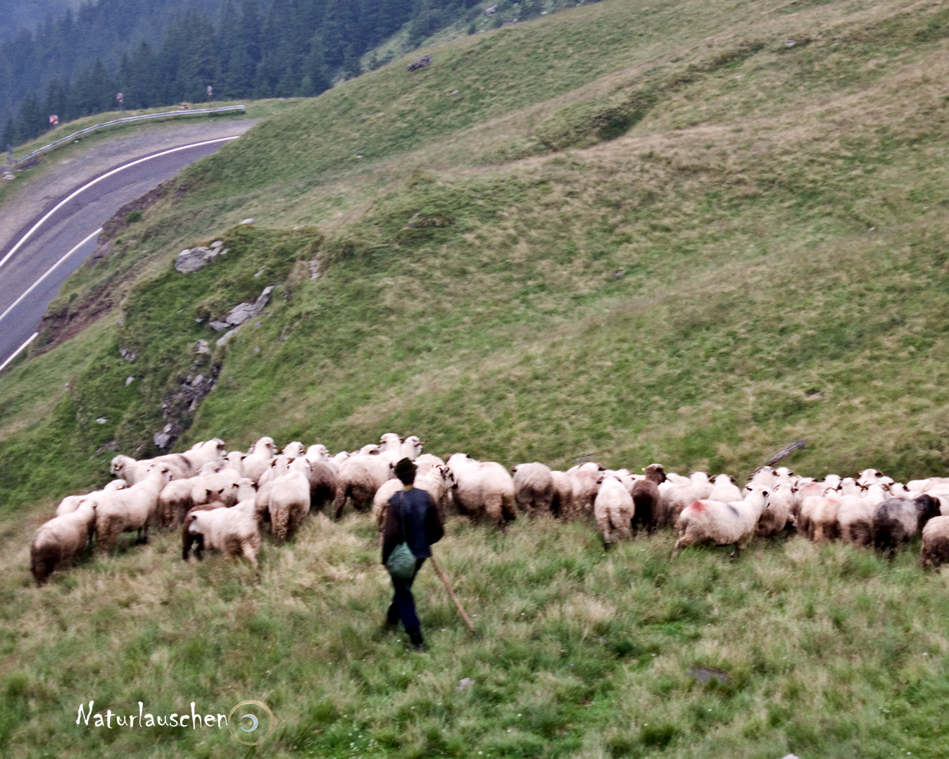 HERAUSFORDERUNGEN