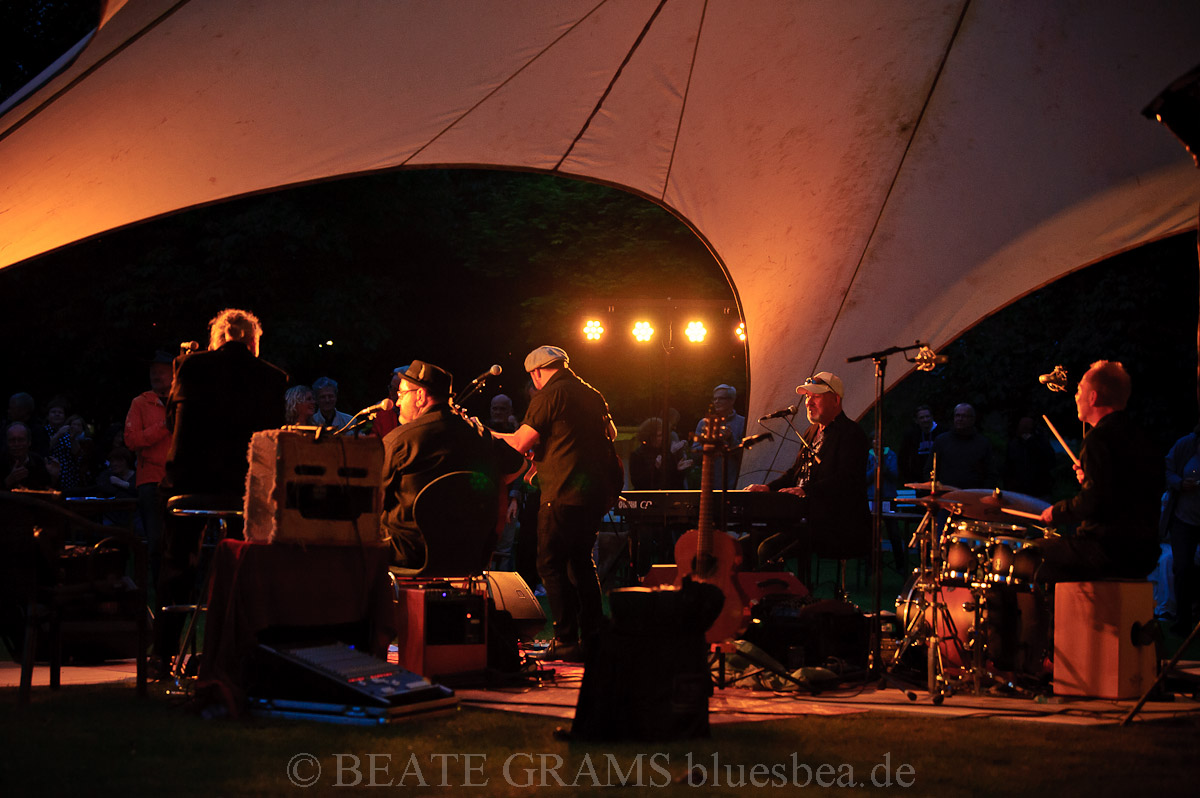 THE UNION BLUES & ROOTS FESTIVAL 2019