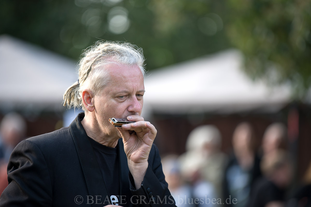 THE UNION BLUES & ROOTS FESTIVAL 2019