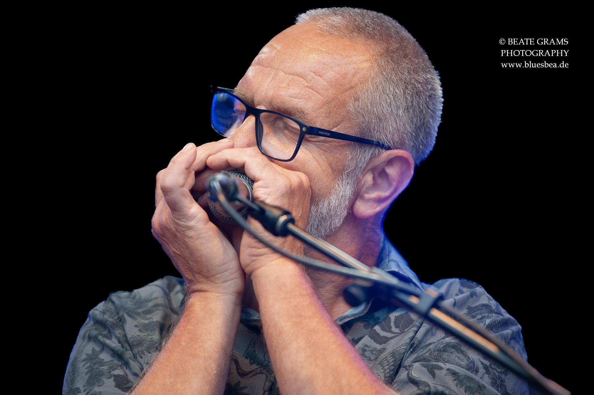 Greyhound George Band - GBC 2022