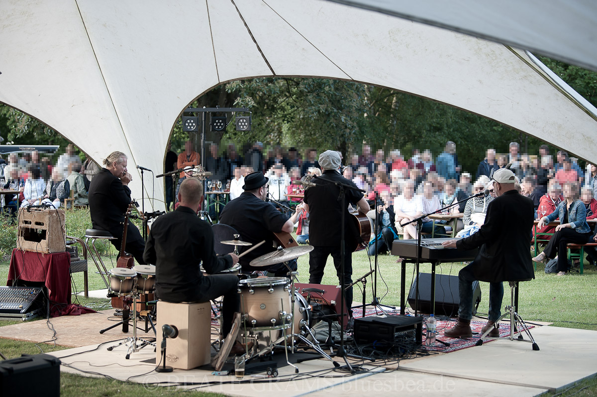 THE UNION BLUES & ROOTS FESTIVAL 2019
