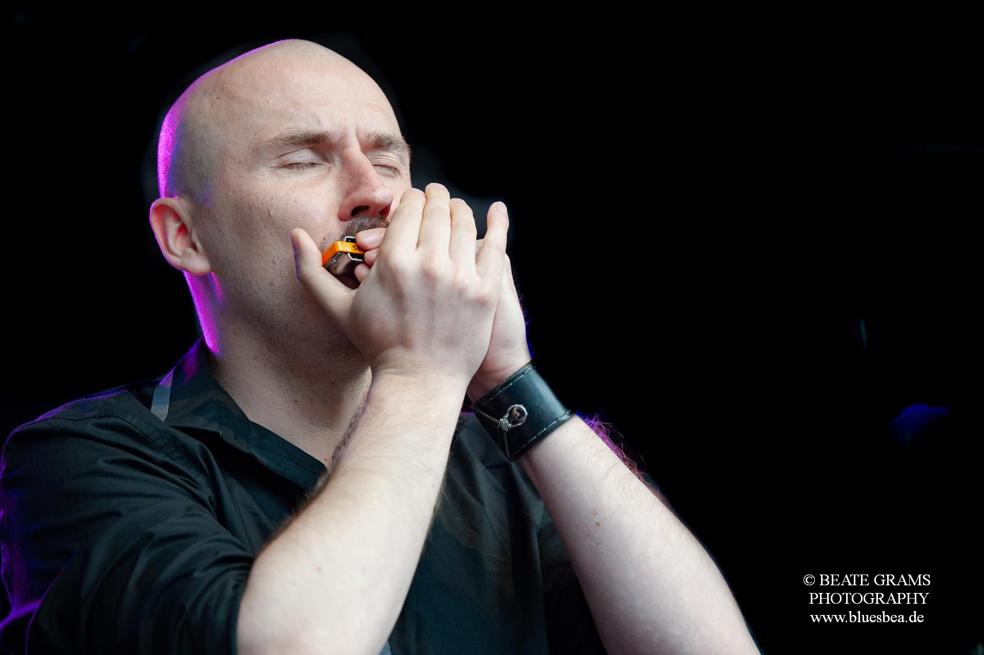 Dark Leaves - BluesBalticaEutin 2022