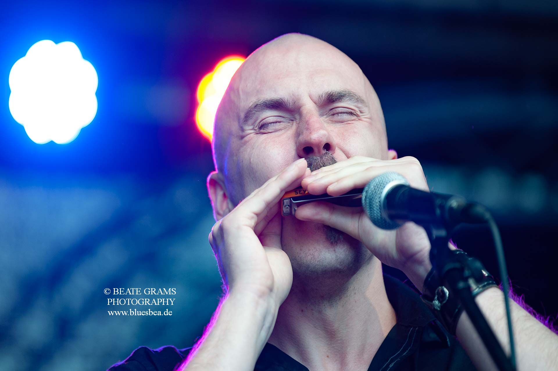 Dark Leaves - BluesBalticaEutin 2022