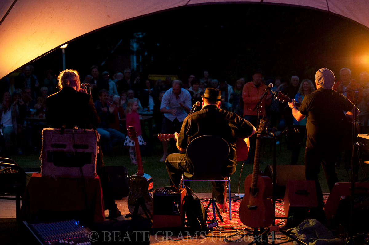 THE UNION BLUES & ROOTS FESTIVAL 2019