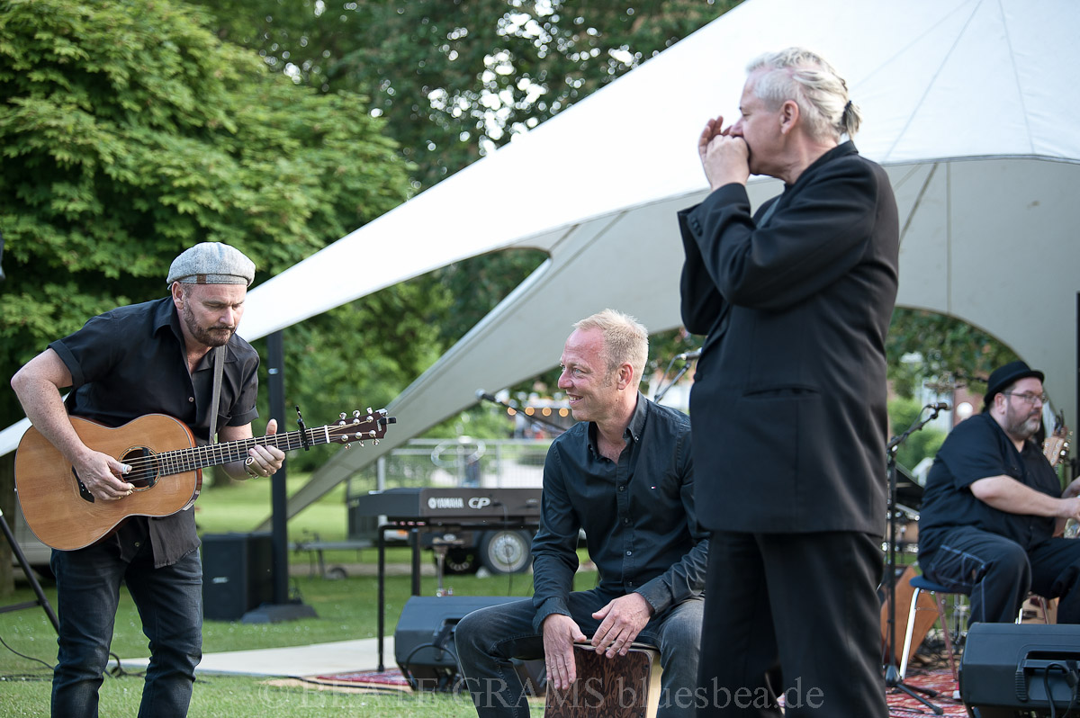 THE UNION BLUES & ROOTS FESTIVAL 2019