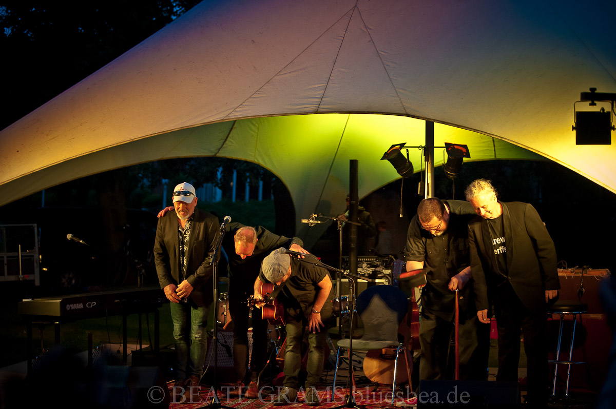 THE UNION BLUES & ROOTS FESTIVAL 2019