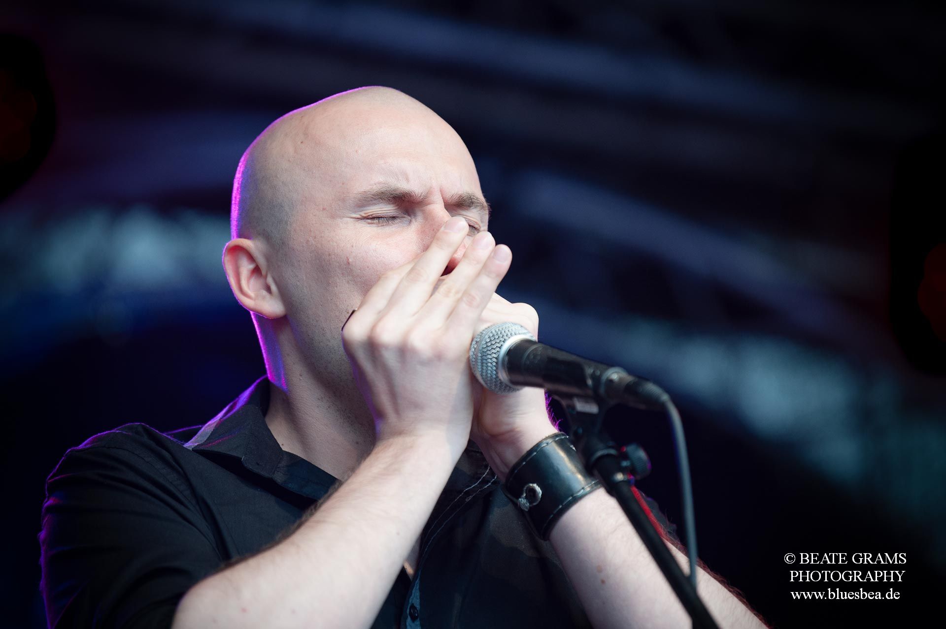 Dark Leaves - BluesBalticaEutin 2022