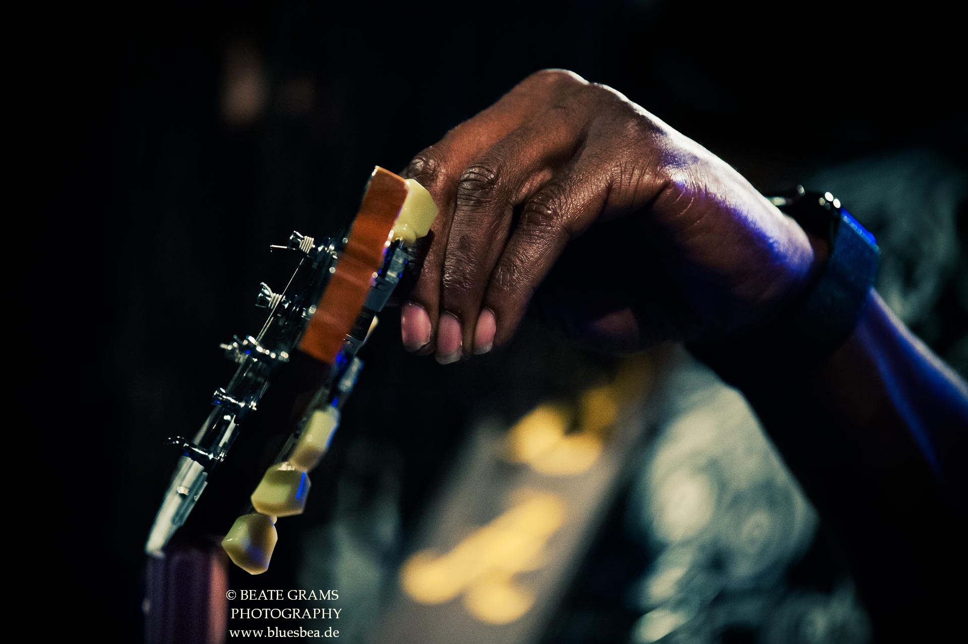 Bernard Allison Band 2022 - Blueswerk Norderstedt