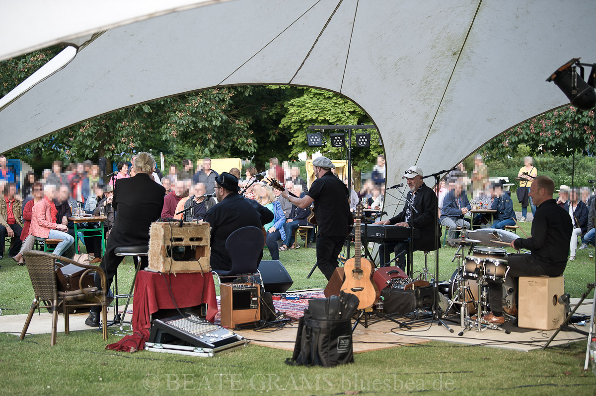 THE UNION BLUES & ROOTS FESTIVAL 2019