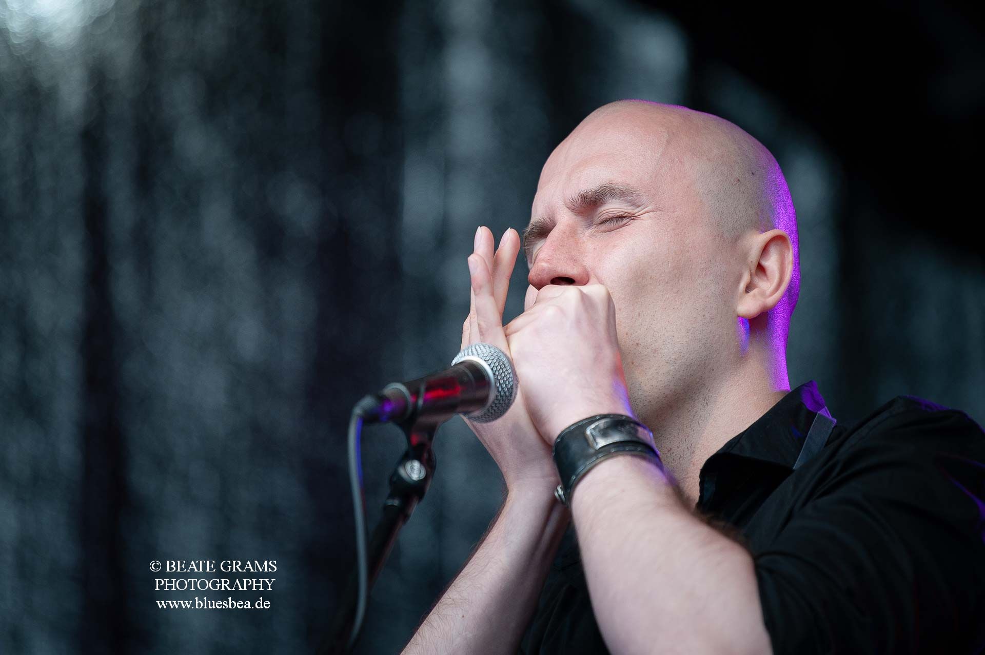 Dark Leaves - BluesBalticaEutin 2022