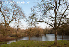 Hochwasser auf der Obstwiese im Jan.`11