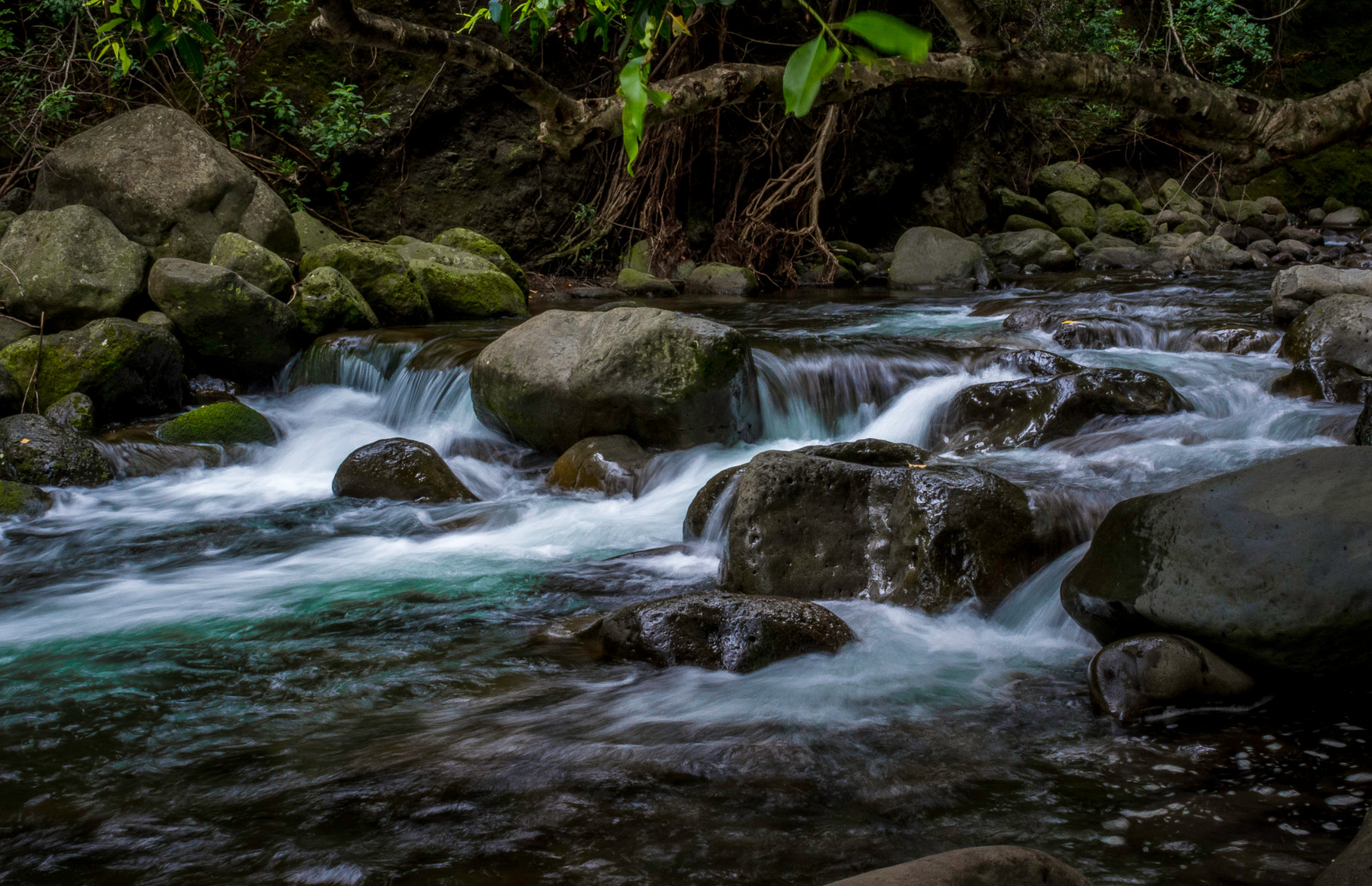 Iao Valley Stream