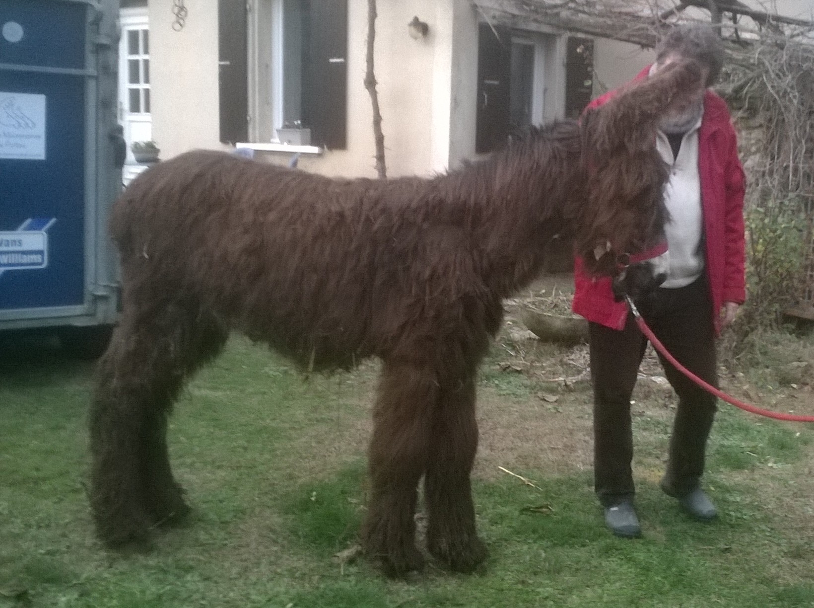 Icare et Bruno