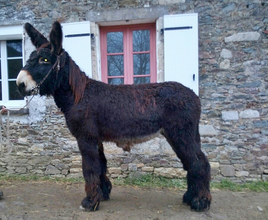 Eros du Genet, son père