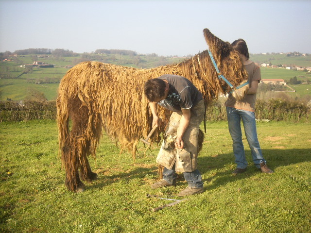 Maya, Matthieu et Thibault