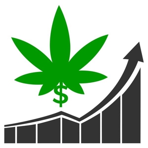 The medical use of cannabis is a market of millions – if not billions  -  graphic courtesy of Entailment