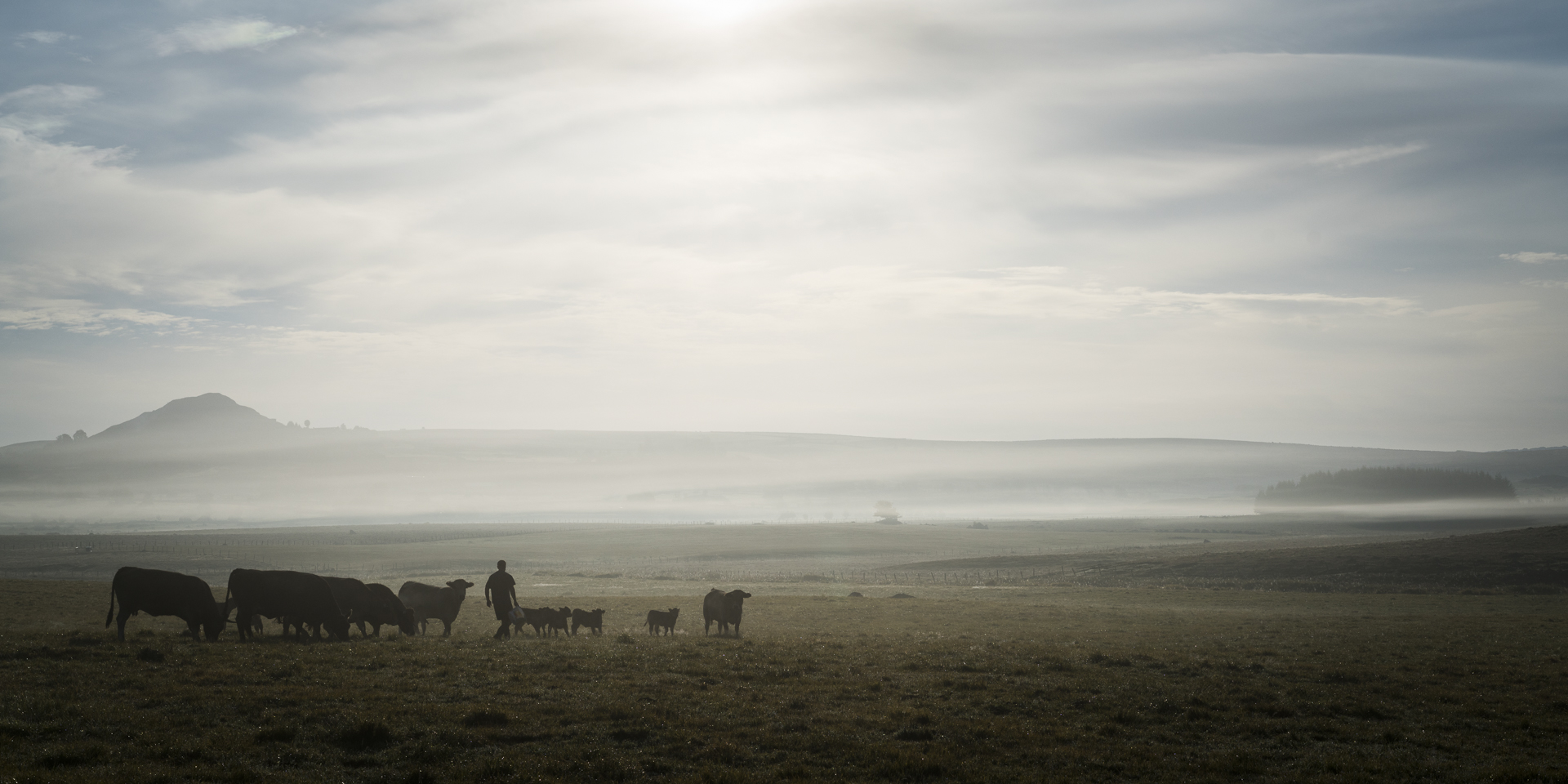 Visite matinale    Photo: B Raballand   