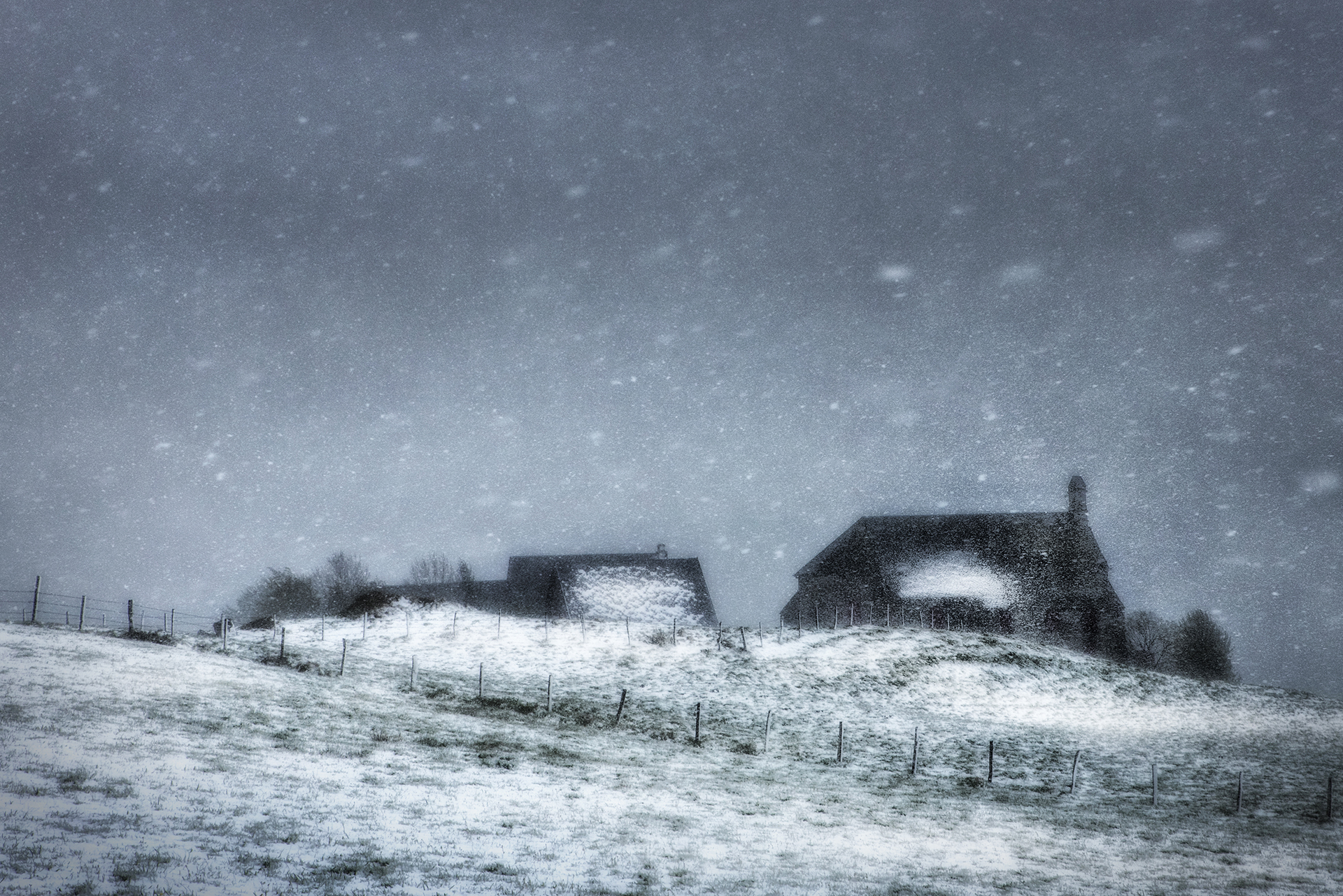 Neige de mai   Photo: R Avard  