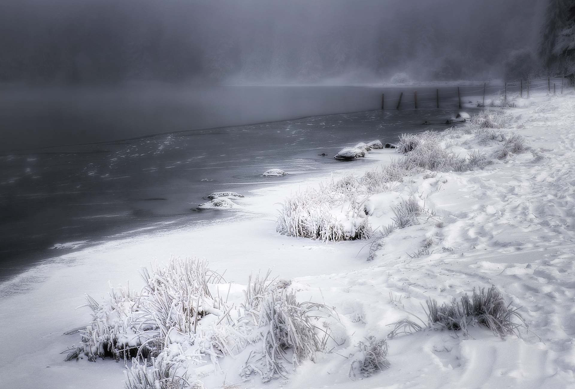 La berge     Photo: R Avard  