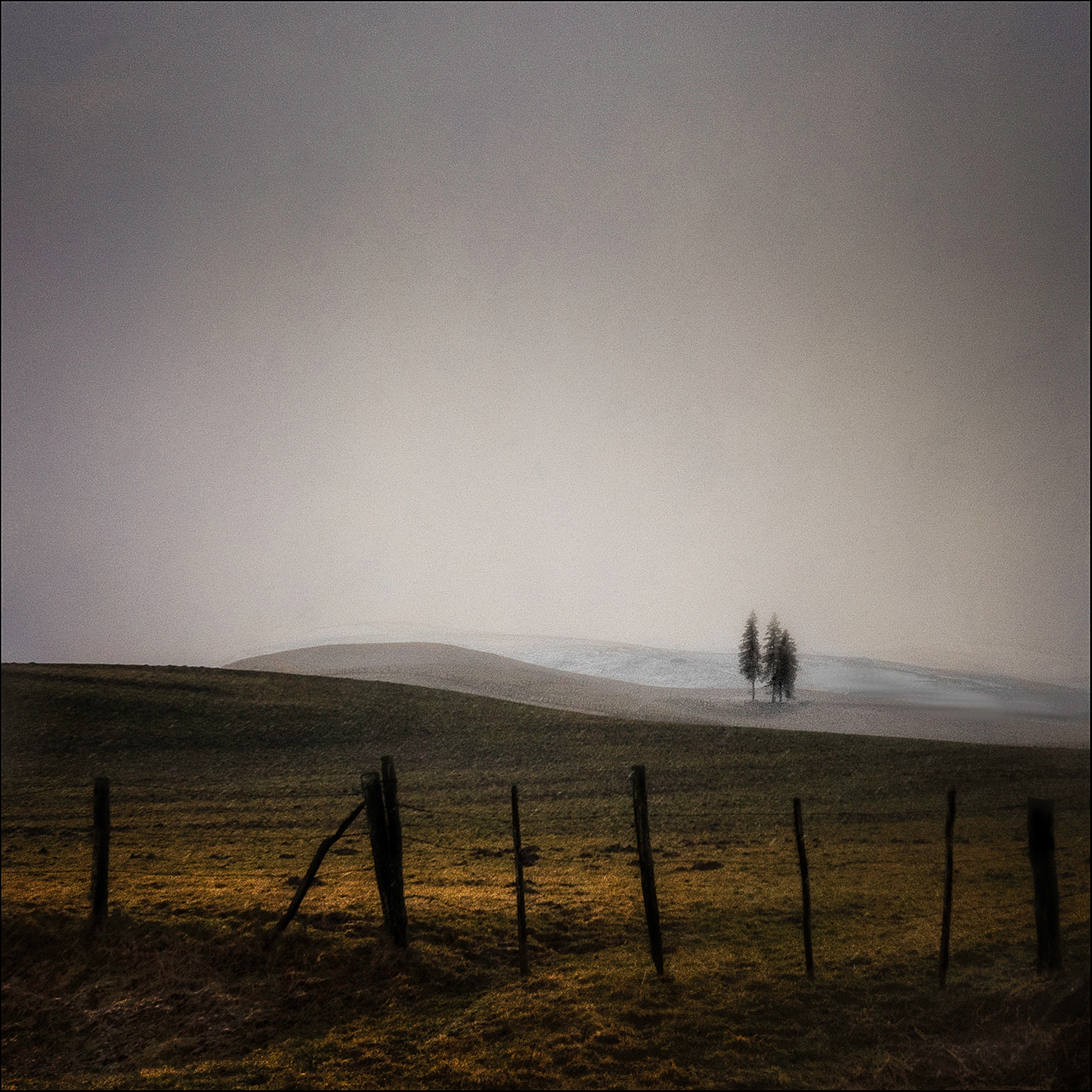 Impression d'hiver   Photo: C Tichadou  