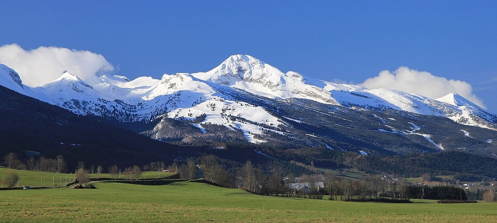 La grande moucherolle vercors