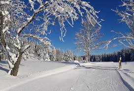sejour hiver lauzes