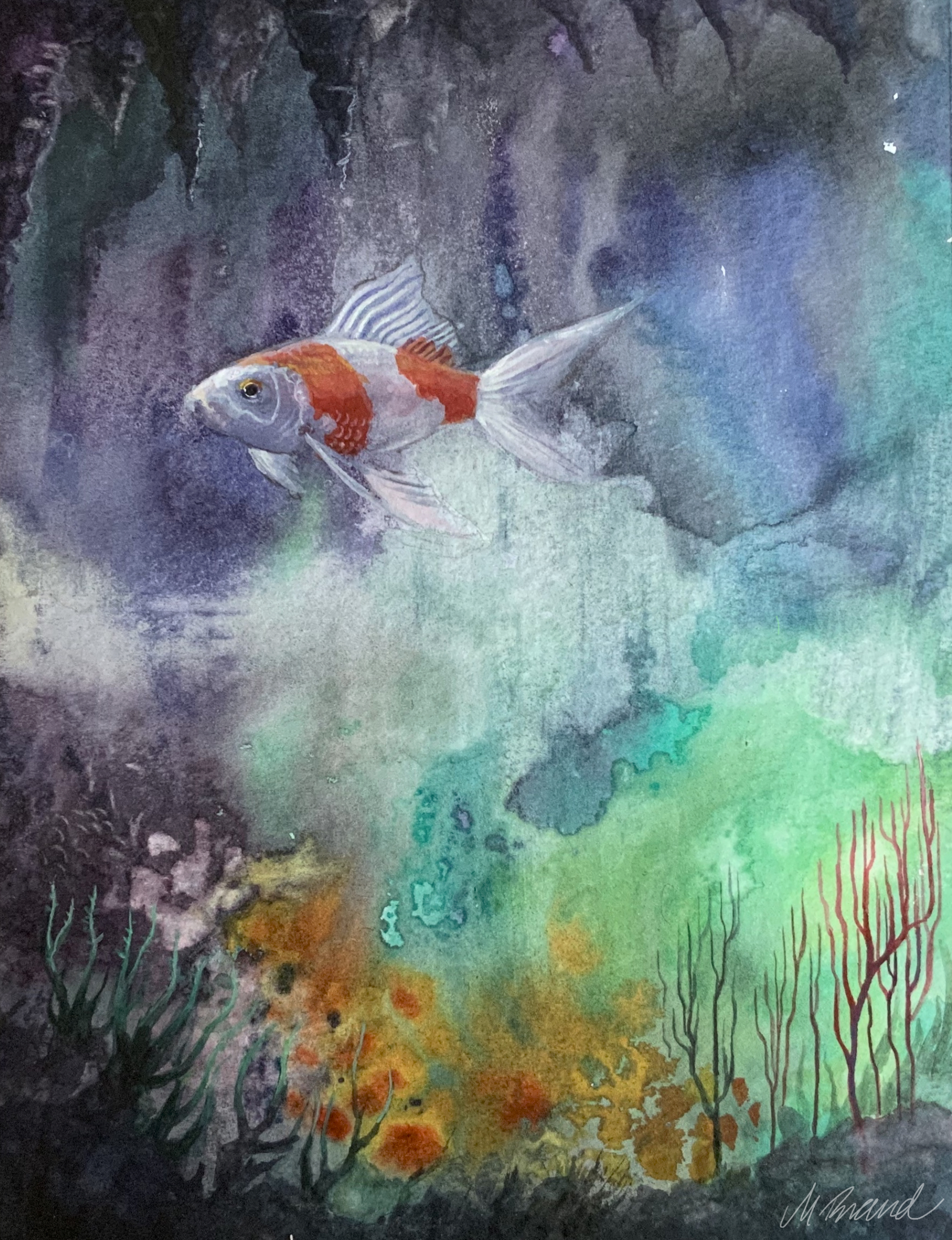 Bitte Jetzt Unterschreiben Jeder Vertrag Zahlt Hofgeismar Humme