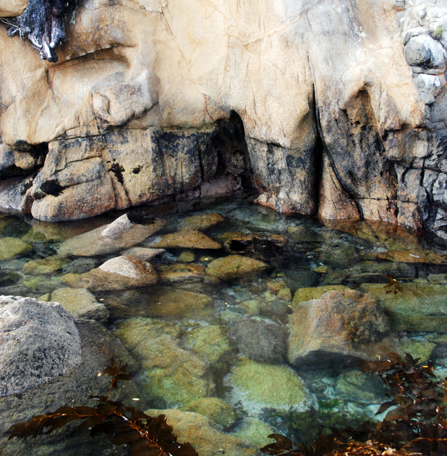 The crystal clear waters and bleached granite rocks of Ulva Island at the jetty.