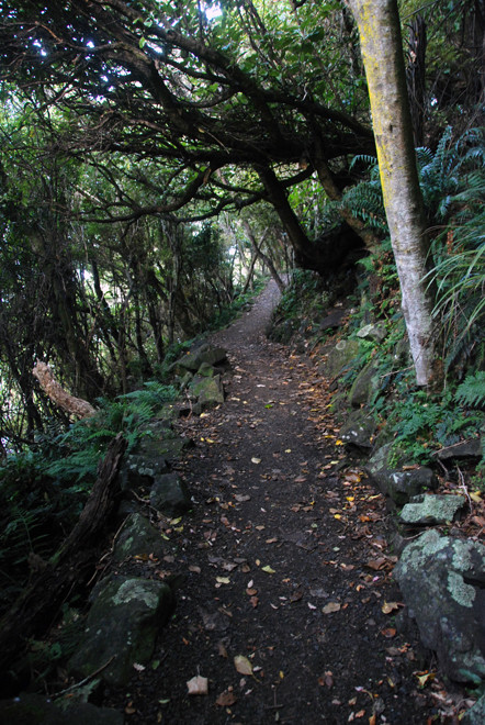 The path to Ackers Point as the light begins to fade