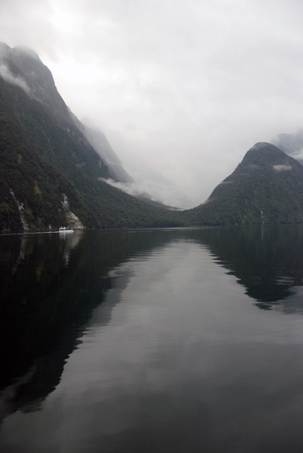 Sindbad Gully shrouded in cloud. It is also home to the endangered Sinbad Skink.