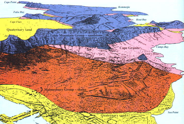 Schematic geology of Cape Peninsula  lloking south down the peninsula (c) UCT Dept Geological Science) Click picture for their website