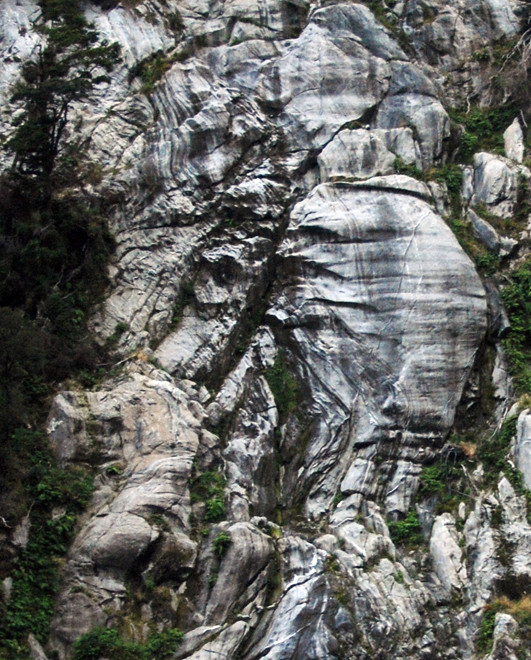 Huge slabs of bare rock revealed by tree-falls at Milford Sound