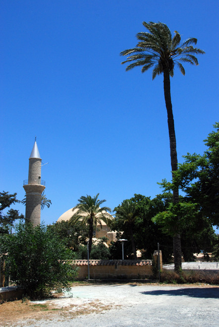 Hala Sultan Tekke and Date Palms