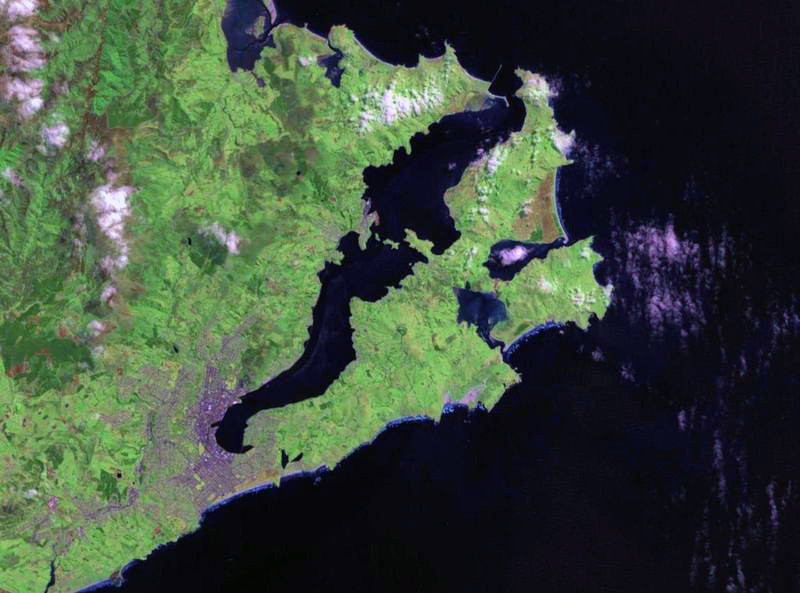 The Otago Peninsula forming the southern arm of Otago Harbour with Dunedin at its western end (Landsat image via WikiCommons)