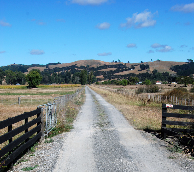 Into the unkown: the shock of the Rogernomics' removal of NZ$1bn of producer subsidies has been long and painful and to a lesser extent transformative.