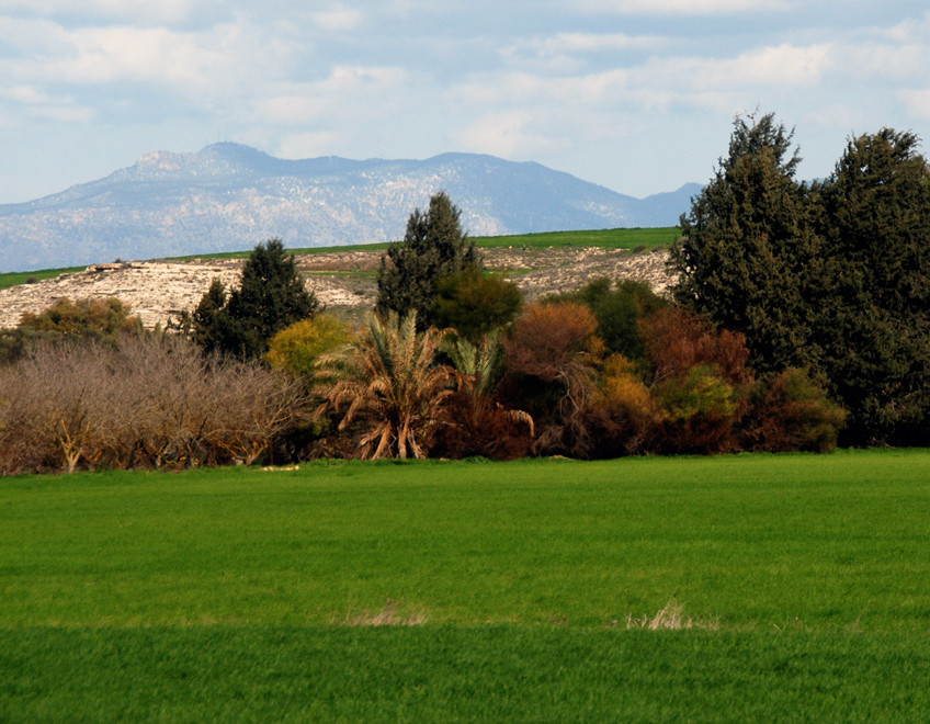 What seemed to me like an oasis in the harsh weather and landscape of the Malloura Valley - Pentadaktylos in the background