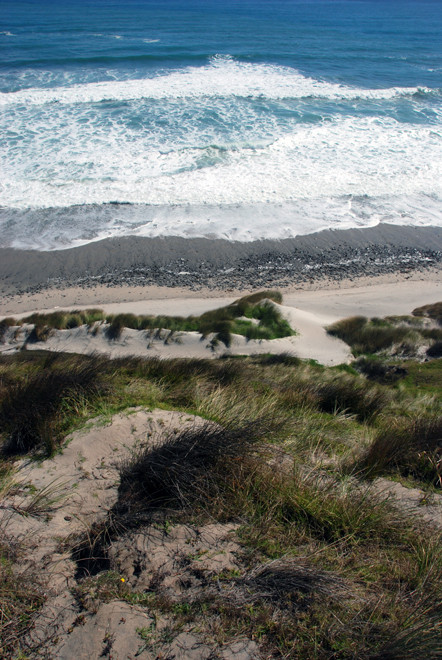 I pulled over on a narrow verge above the crashing waves and sparkling Tasman Sea.