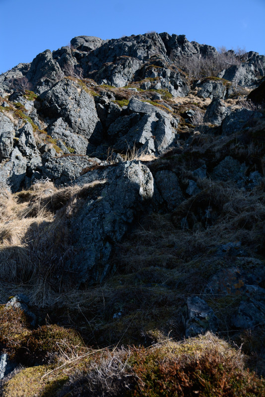 The rocky incline on which we fleetingly saw two otters ascending from the sea at Russelv on the Lyngen Peninsula. 